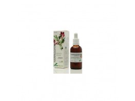 Imagen del producto HARPAGOFITO EXTRACTO GLICE50ML XXI SORIA